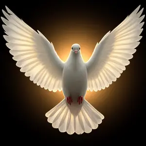 Dove as Symbol of the Holy Spirit